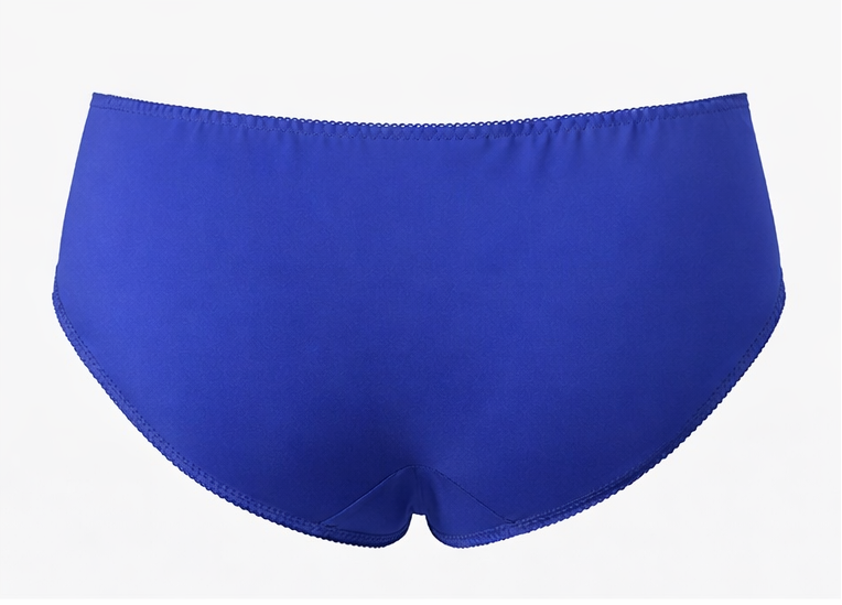 Soft Lace Panel Panty – Smooth Fit Daily Wear Brief